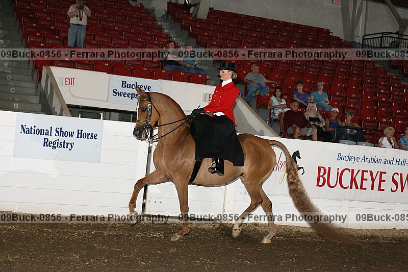 Proof 09buck-0856