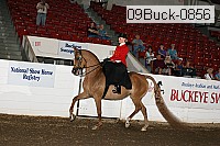 09buck-0856 proof