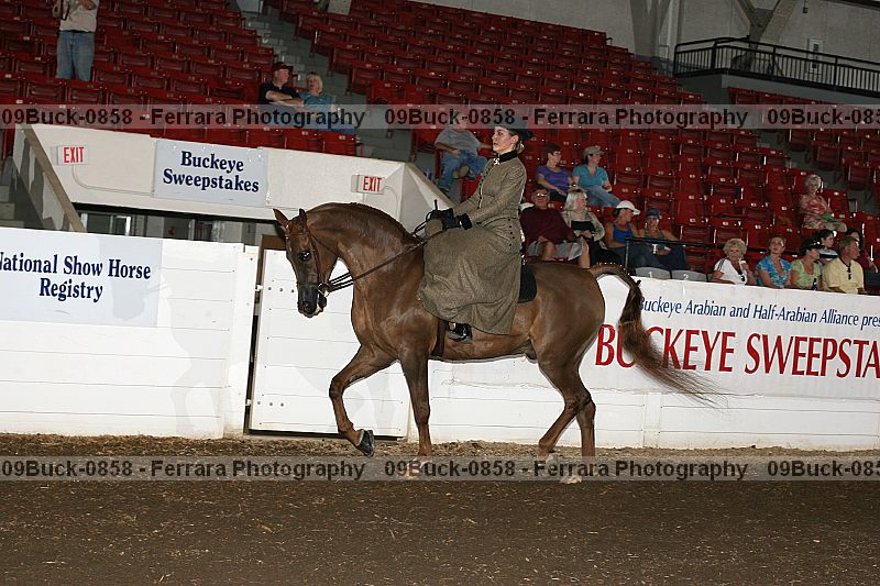 Proof 09buck-0858