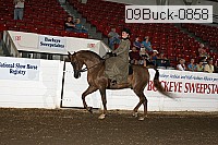 09buck-0858 proof