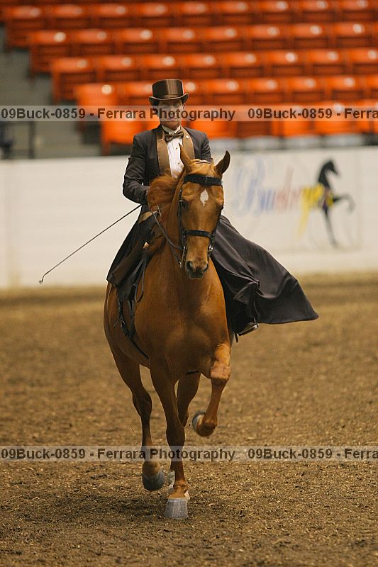 Proof 09buck-0859
