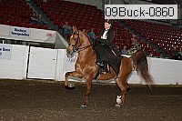 09buck-0860 proof