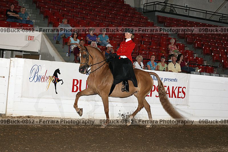 Proof 09buck-0862