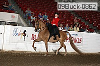 09buck-0862 proof