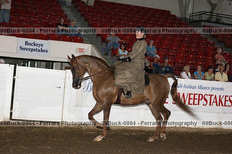 Proof 09buck-0864