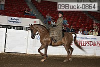 09buck-0864 proof