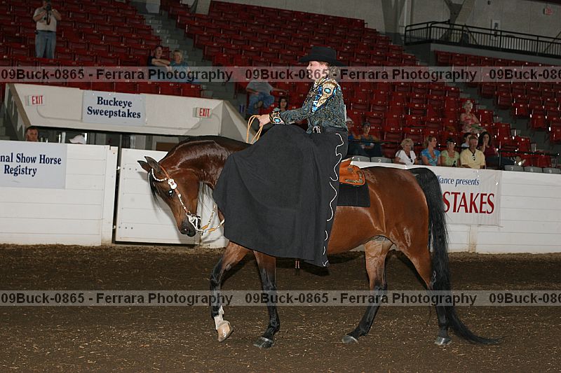 Proof 09buck-0865