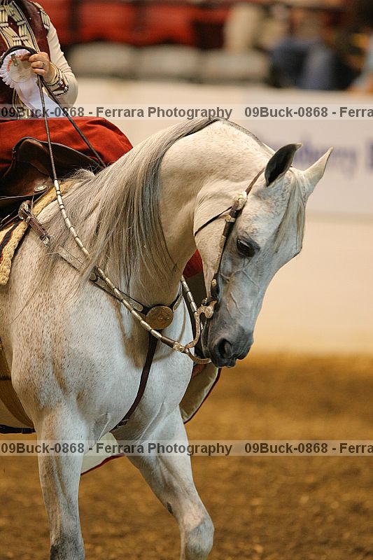 Proof 09buck-0868
