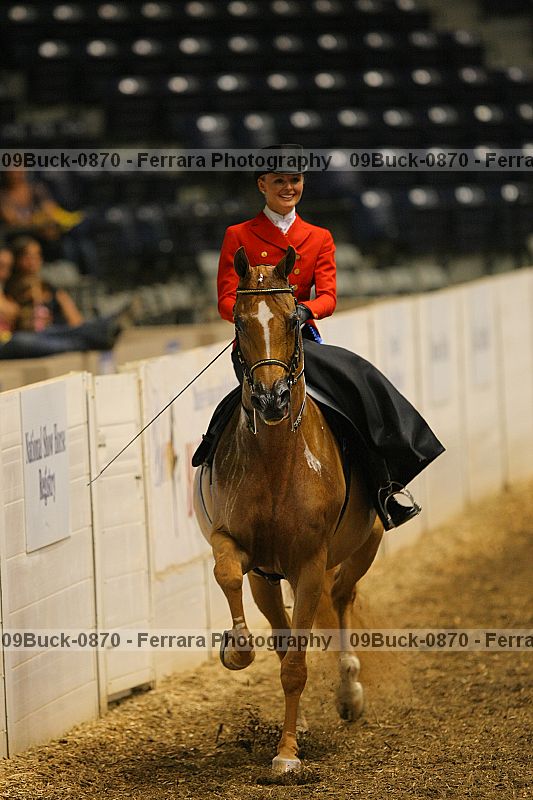 Proof 09buck-0870