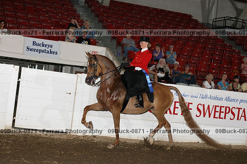 Proof 09buck-0871
