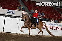09buck-0871 proof