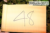 09buck-0872 proof
