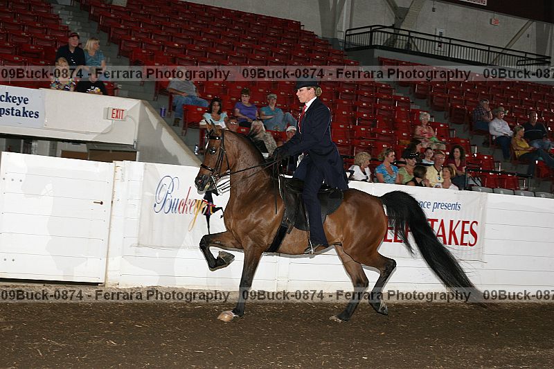 Proof 09buck-0874
