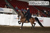 09buck-0874 proof