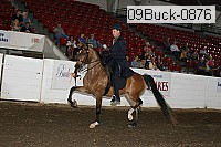 09buck-0876 proof