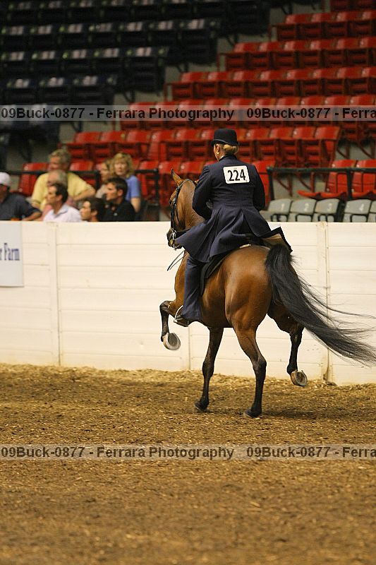 Proof 09buck-0877