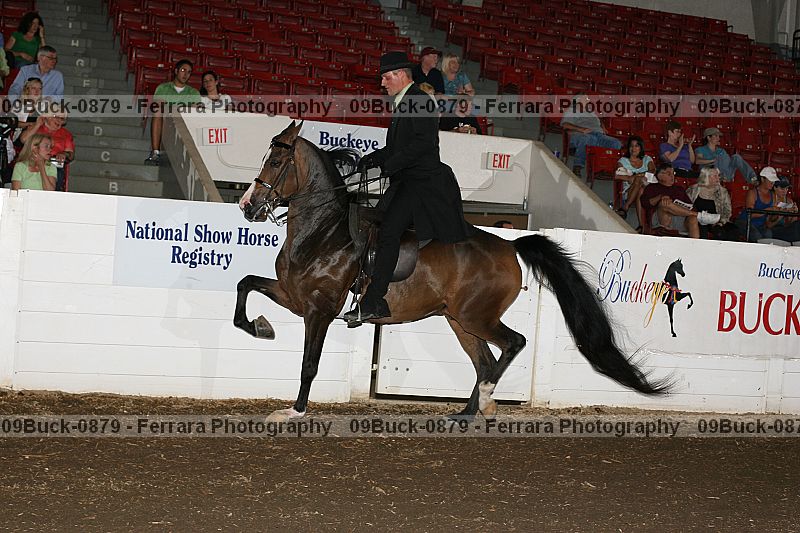 Proof 09buck-0879