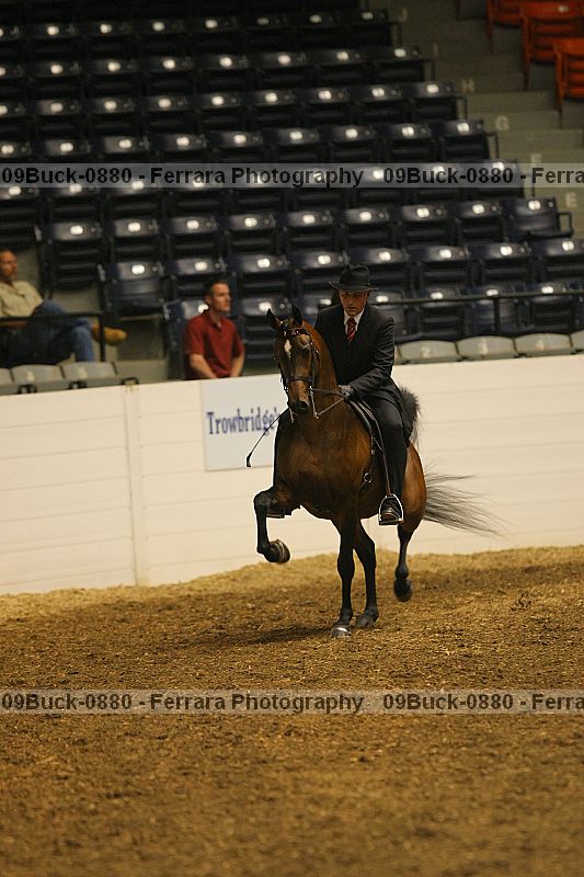 Proof 09buck-0880