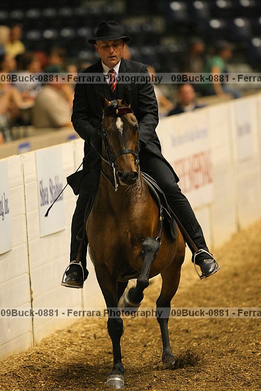 Proof 09buck-0881
