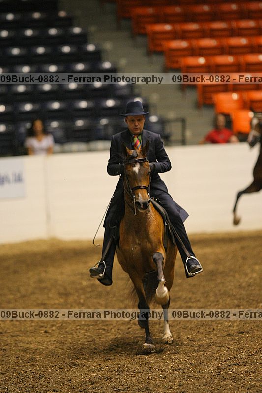 Proof 09buck-0882