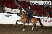 09buck-0883 proof