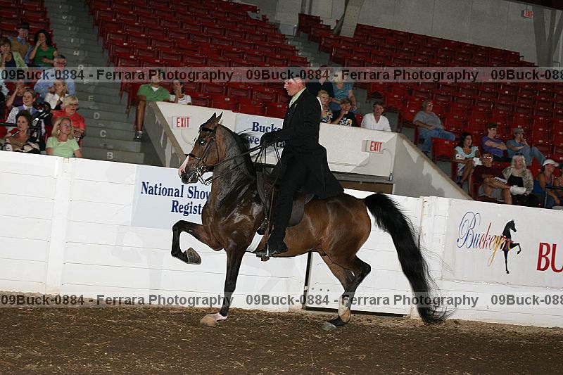 Proof 09buck-0884