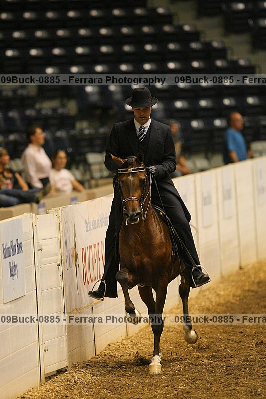 Proof 09buck-0885