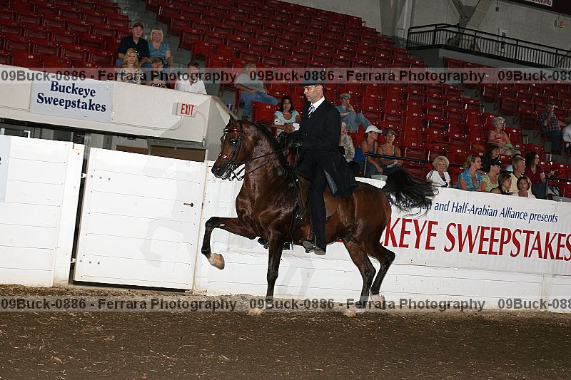 Proof 09buck-0886