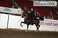 09buck-0886 proof