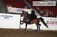 09buck-0888 proof