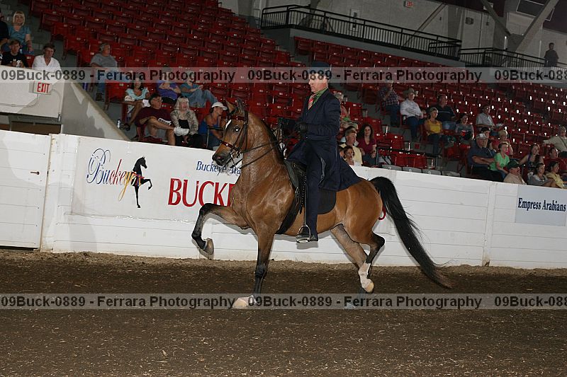 Proof 09buck-0889