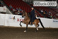 09buck-0889 proof