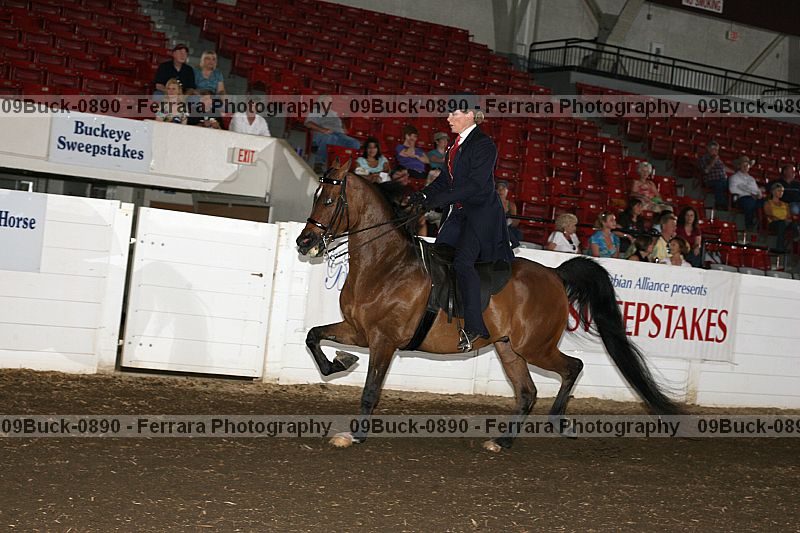 Proof 09buck-0890