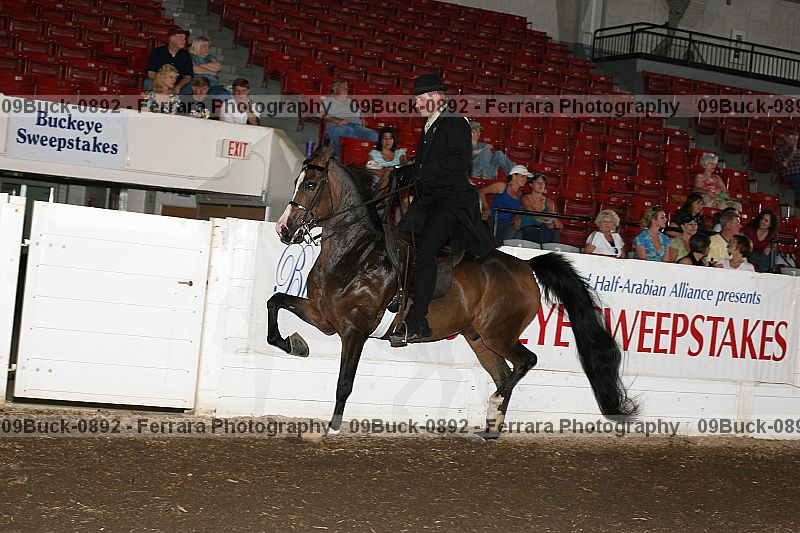 Proof 09buck-0892