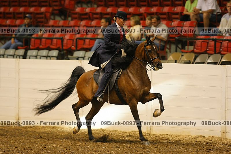 Proof 09buck-0893