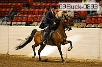 09buck-0893 proof