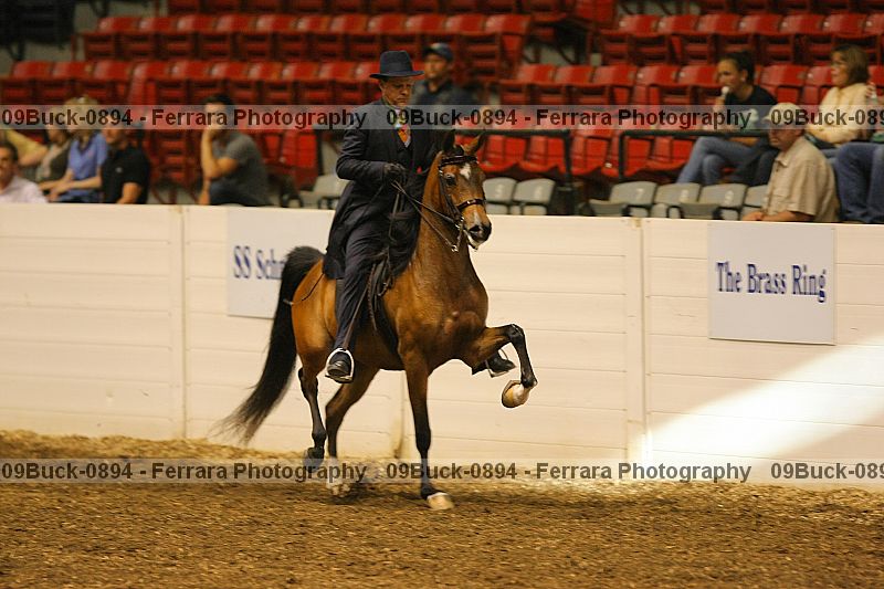 Proof 09buck-0894