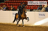 09buck-0894 proof