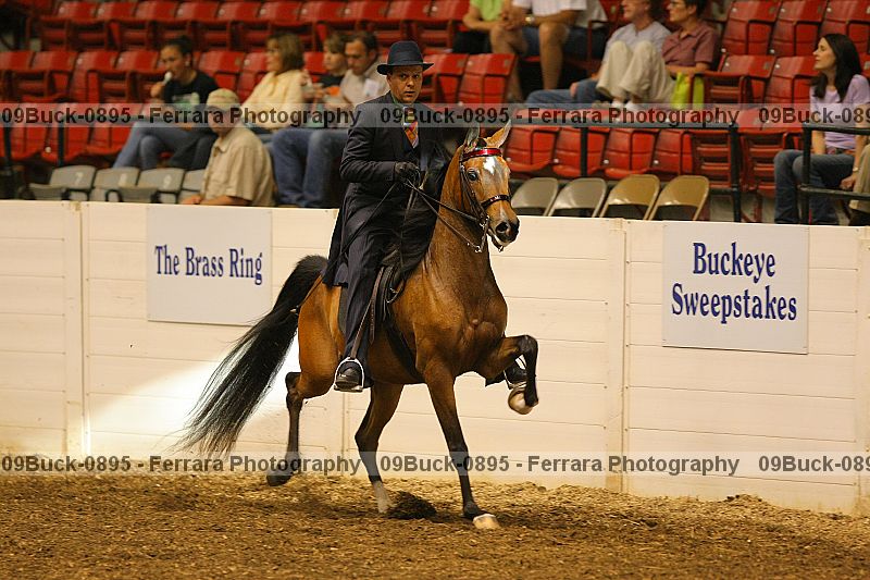 Proof 09buck-0895