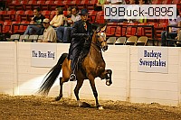 09buck-0895 proof
