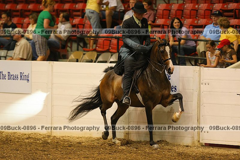 Proof 09buck-0896