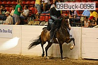 09buck-0896 proof