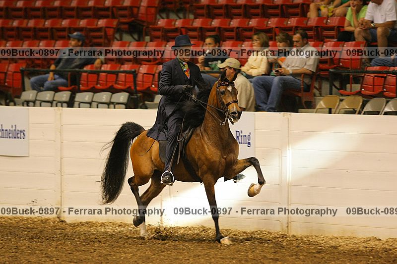 Proof 09buck-0897
