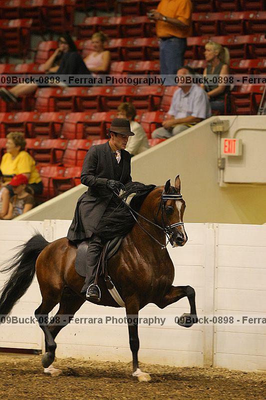 Proof 09buck-0898