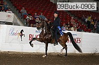 09buck-0906 proof