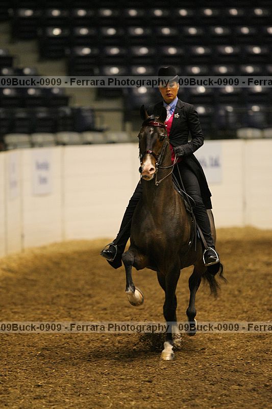 Proof 09buck-0909
