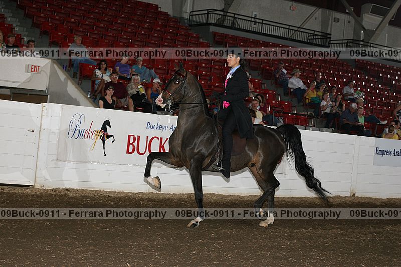 Proof 09buck-0911