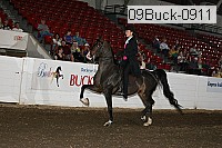 09buck-0911 proof