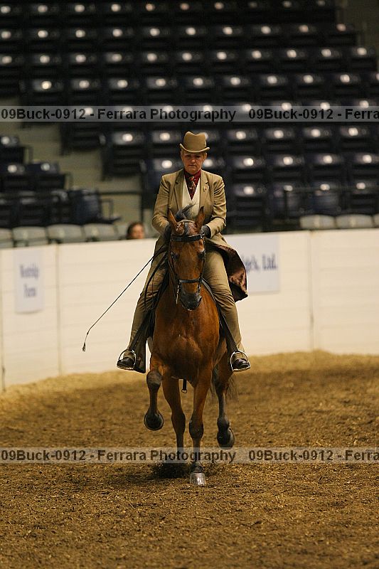 Proof 09buck-0912
