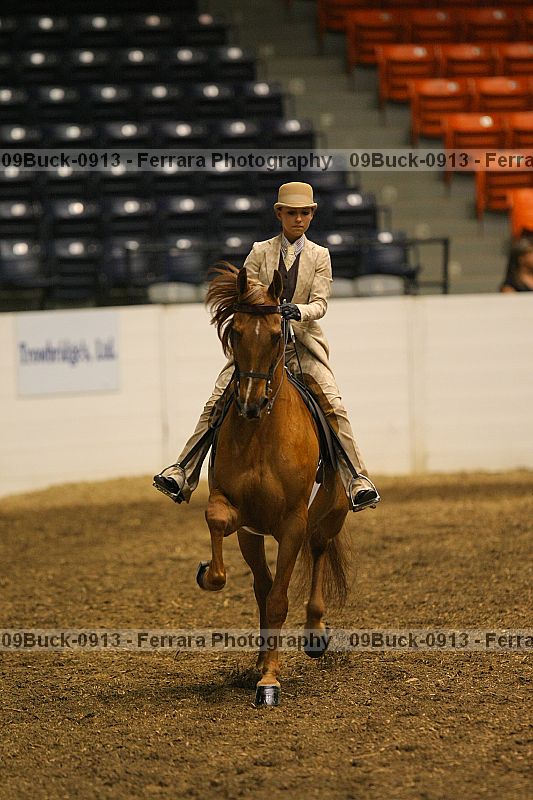 Proof 09buck-0913